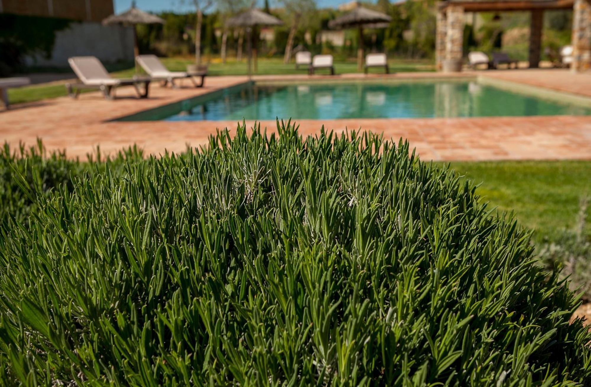 Mas Vermell Fontanilles Esterno foto